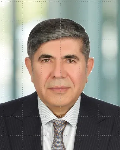 Ali Rıza ARSLAN